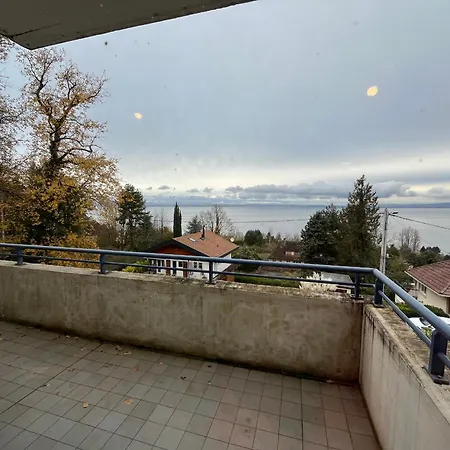 Avec Piscine Et Parking A - Fr-1-498-109 Evian-les-Bains