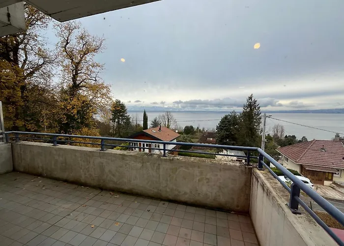 Confortable Avec Piscine Et Parking A - Fr-1-498-109 Evian-les-Bains